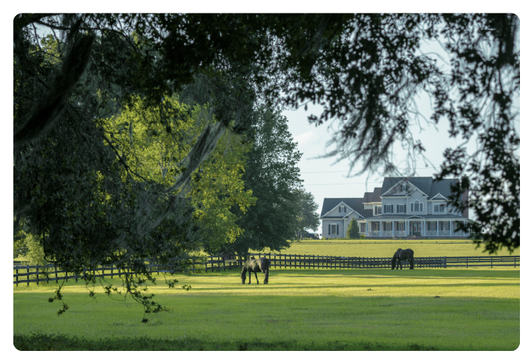 Horses grazing on a well-maintained farm—ensure complete coverage and long-term stability with farm and equine insurance.
